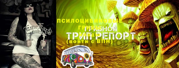 альфа пвп Армянск