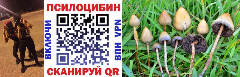 Псилоцибиновые грибы GOLDEN TEACHER  наркота  мориарти формула  Медвежьегорск 